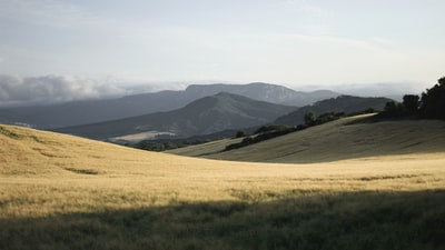 绿色的小山白天
